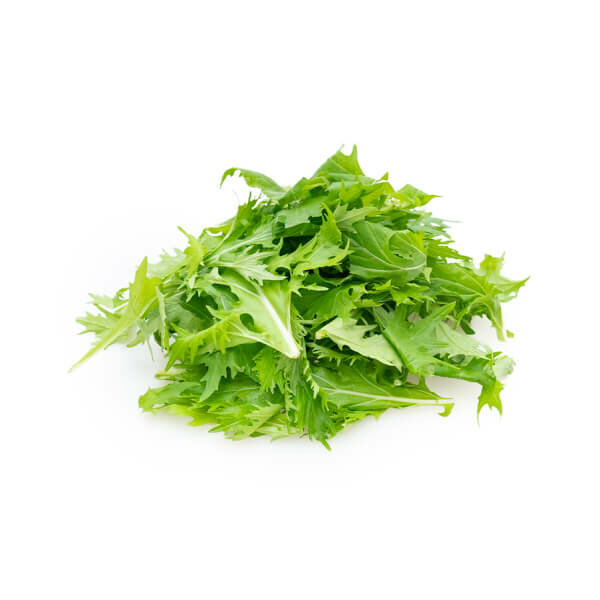Mizuna Green Lettuce
